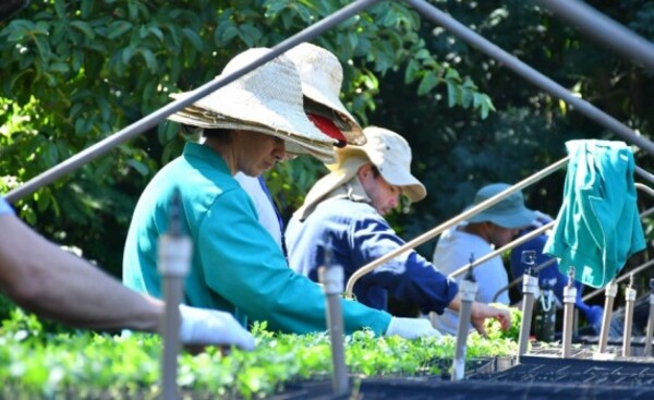 Vivero Forestal de Itaipú sembró más de 1.190.000 plantines