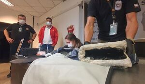 “Messi” detecta droga que joven pretendía viajar a Madrid  - Nacionales - ABC Color