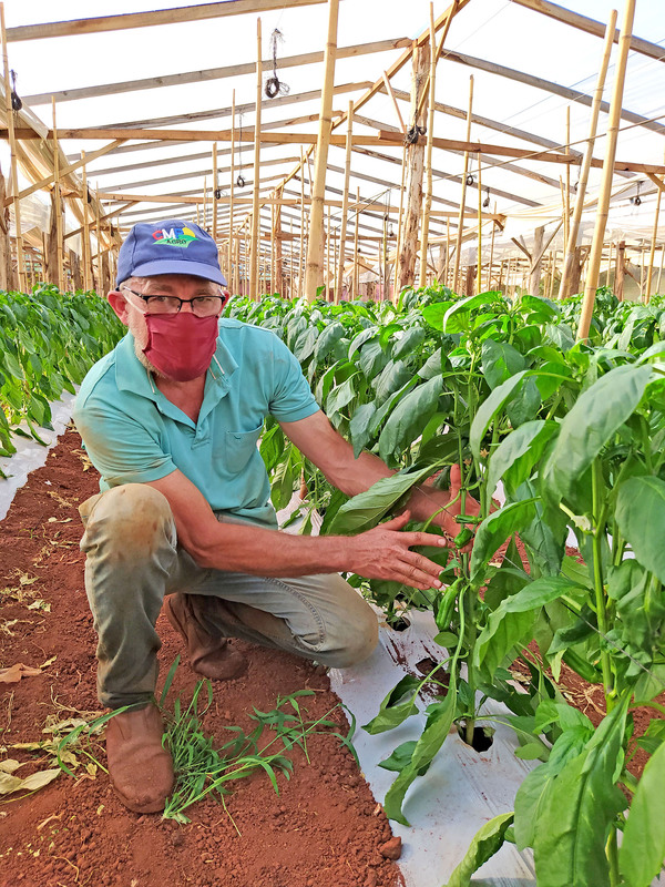 DESAFÍOS EN LA PRODUCCIÓN HORTÍCOLA PARAGUAYA