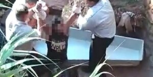 Hallan el cuerpo sin vida de un joven en el cauce de un arroyo - Noticiero Paraguay