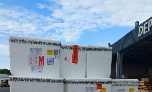 Diario HOY | Paraguay adquirió 100 mil dosis contra fiebre amarilla: sepa cómo y dónde aplicarse
