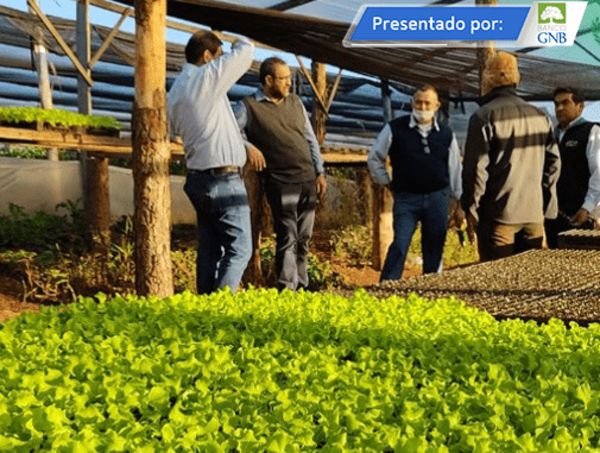 Crédito Agrícola concedió créditos para 45.000 proyectos productivos · Radio Monumental 1080 AM