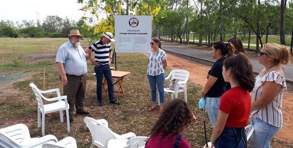 Destacan exitosa actividad de arborización