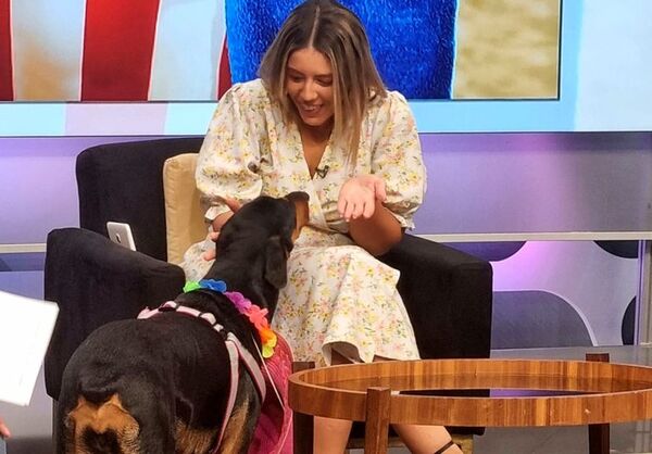 La perra Mila llegó a Ensiestados, ¡y quedó encantada con Denise Hutter! - Gente - ABC Color