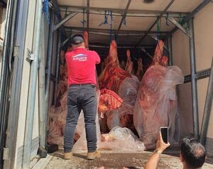 Incautan 16.000 kilos de carne vacuna en Alberdi