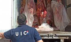 Incautan 16 toneladas de carne y detienen a cuatro personas - Noticiero Paraguay