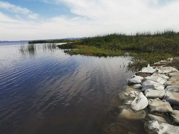 Hace un año que ya no aparecen cianobacterias en el lago Ypacaraí - Nacionales - ABC Color