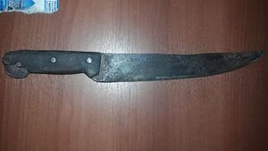 Vecinos redujeron a supuesto maleante que intentó asaltar con un machetillo - Nacionales - ABC Color