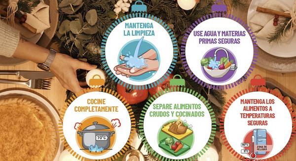 CELEBRA NAVIDAD Y AÑO NUEVO SIN RIESGOS DE INTOXICACIÓN ALIMENTARIA - Itapúa Noticias