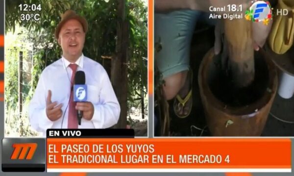 Remedios yuyos para superar la resaca de fin de año | Telefuturo
