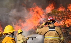 Diario HOY | Voraces incendios arrasan bosques nativos en sur argentino
