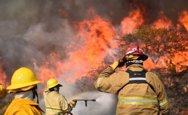 Diario HOY | Voraces incendios arrasan bosques nativos en sur argentino
