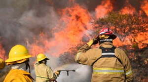 Voraces incendios arrasan bosques nativos en sur argentino - Noticiero Paraguay