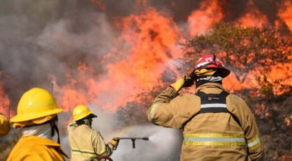 Voraces incendios arrasan bosques nativos en sur argentino - Noticiero Paraguay