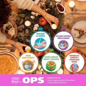Recuerdan cuidado en manipulación y conservación de alimentos durante estas fiestas - .::Agencia IP::.