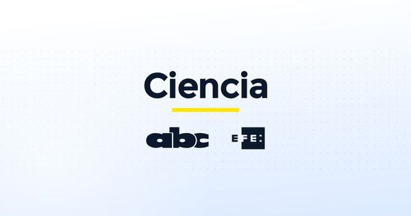 Médico mexicano convierte el ADN en cuadros artísticos personalizados - Ciencia - ABC Color
