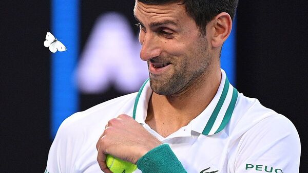 Novak Djokovic no jugará la Copa ATP con Serbia