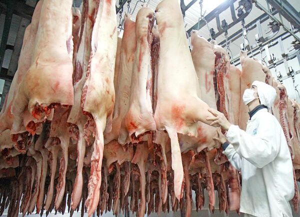 Producción porcina se posiciona en el mercado local