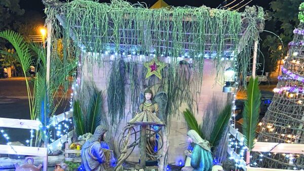 Premian con G. 40 millones al pesebre más purete