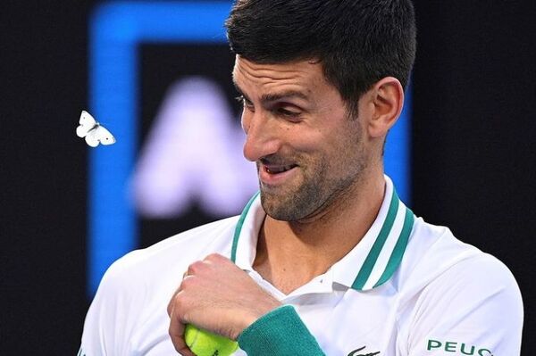 Novak Djokovic no jugará la Copa ATP con Serbia