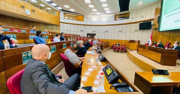 La Nación / Senado tratará proyecto de ley sobre régimen de turismo comercial durante el receso