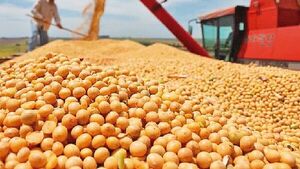 Exportación agrícola registra aumento del 30% en sus ingresos