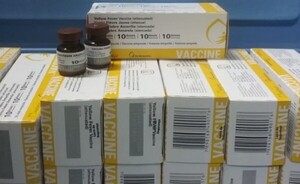 Vacuna contra la fiebre amarilla ya está disponible en Alto Paraná