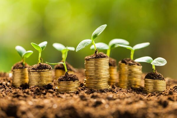 Eco-préstamos: Opciones de financiamiento verde continúan en la banca local - MarketData