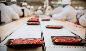 Argentina: productores fueron los más afectados por cepo a las exportaciones de carne