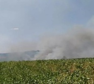 Presidente Franco: Prenden fuego a plantación de soja  - Paraguay.com