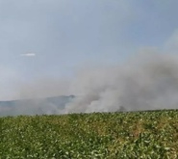Presidente Franco: Prenden fuego a plantación de soja - Paraguay.com
