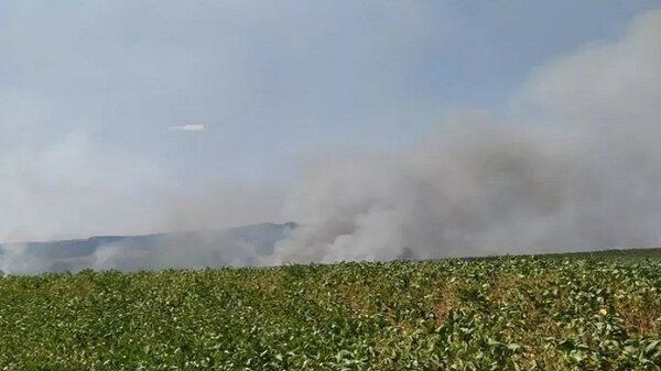 Quema intencional en plantación de soja | Noticias Paraguay