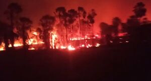 Bomberos piden conciencia para prevenir incendios forestales - Nacionales - ABC Color