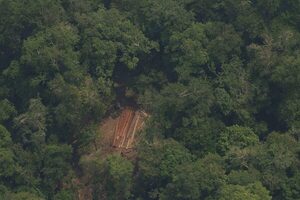 Brasil suspende permisos para explorar oro en áreas preservadas de la Amazonía - MarketData