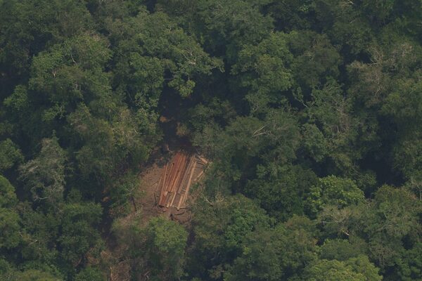 Brasil suspende permisos para explorar oro en áreas preservadas de la Amazonía - MarketData