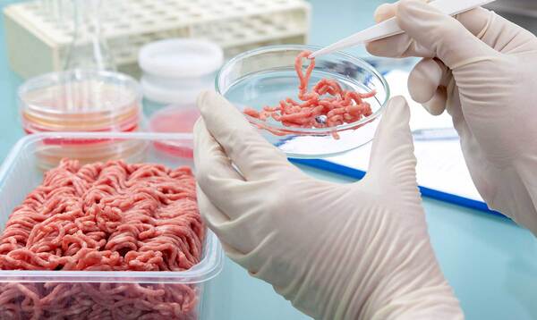 Minerva ingresó en el cultivo de proteínas cárnicas de laboratorio