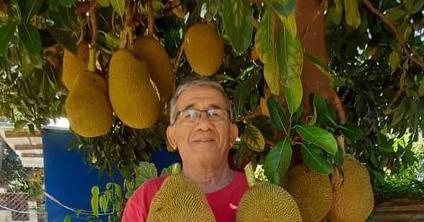 La Nación / Don Aparicio Vergara causa sensación con la venta de “yaca”