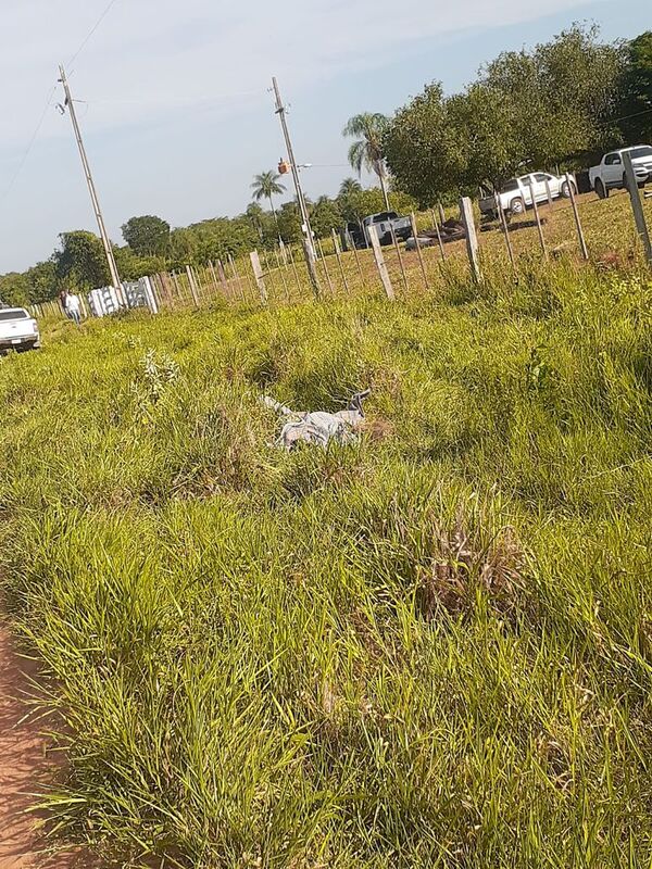 Hermano de ganadero asesinado en Yby Yaú: “Es una vergüenza vivir aquí en Paraguay” - Nacionales - ABC Color