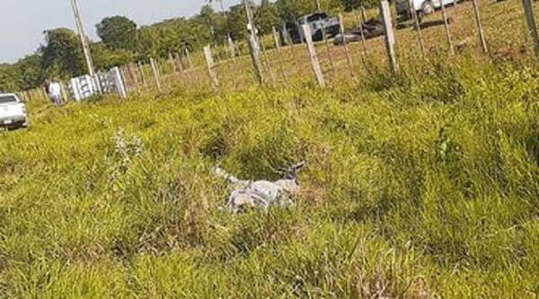 El primer cuerpo hallado sufrió 10 impactos de bala, según forense - Noticiero Paraguay