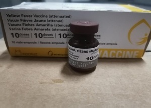 Fiebre amarilla: vacunas están disponibles en todas las regiones sanitarias - El Trueno