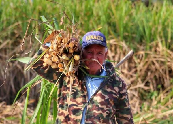 Rutas llegan a comunidades históricamente olvidadas y apuntalan el crecimiento económico