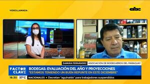 Bodegueros repuntan ventas en diciembre - Factor Clave - ABC Color