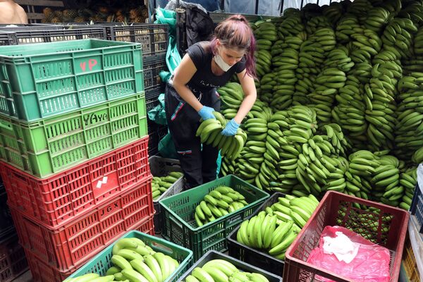 Colombia tiene un panorama económico alentador para 2022, según el BTG Pactual - MarketData