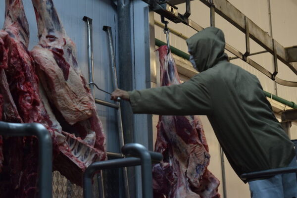 Instituto de la carne está “muy avanzado” para los ganaderos, pero “no está en agenda” de la industria