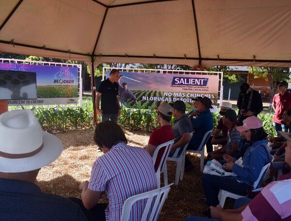 Multinacional del agro ya opera en Paraguay - Nacionales - ABC Color