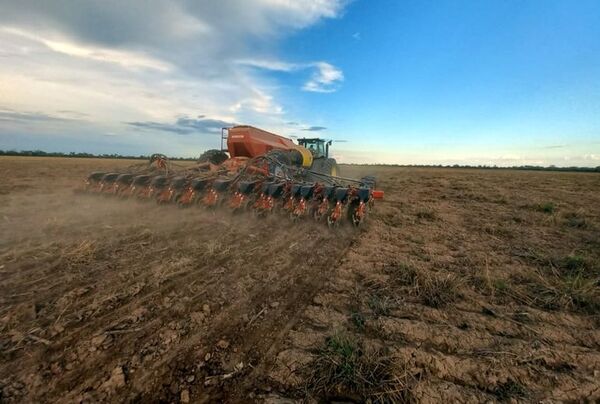 Proyectan sembrar 200.000 hectáreas en el Chaco - Nacionales - ABC Color