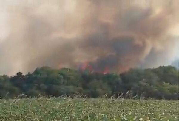 Focos de calor en esta época representan una situación atípica, según comandante de Bomberos - Megacadena — Últimas Noticias de Paraguay