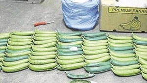 Diario HOY | Incautadas 1,6 toneladas de cocaína provenientes de Ecuador en Róterdam