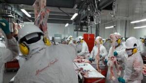 Minerva Foods se presenta como una marca consolidada