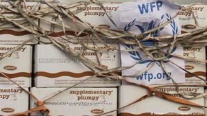 Saquean los almacenes del Programa Mundial de Alimentos en Darfur